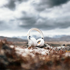 AIAIAI TMA-2 Move Wireless White, Premium Modular Bluetooth Headphones