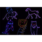 Citronic Animate Smart, RGB Smart Animation Laser