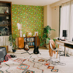 Focusrite Scarlett 2i2 (G4) USB Audio Interface + Free Software Bundle