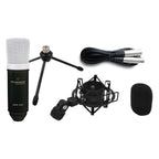 Marantz MPM-1000 Large Diaphragm Condenser Microphone