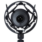 Marantz MPM-1000 Large Diaphragm Condenser Microphone