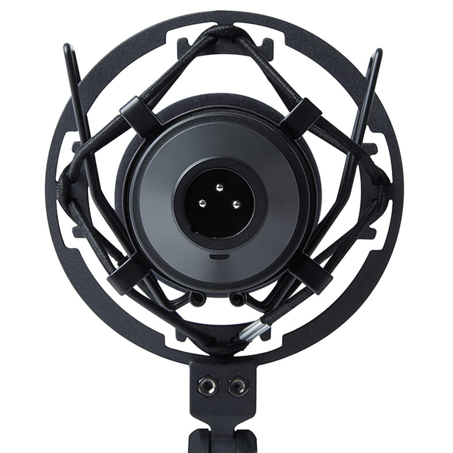 Marantz MPM-1000 Large Diaphragm Condenser Microphone