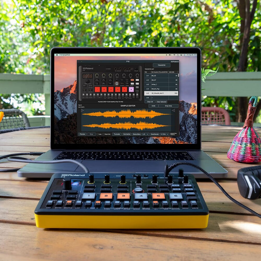 Roland Aira Compact P-6 Sampler, Battery Powered