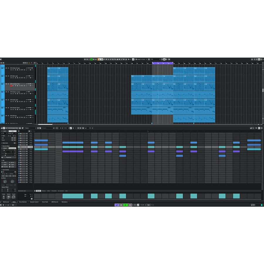 Steinberg Cubase 15 Pro Education Version, Software Download