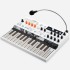 Arturia MicroFreak Vocoder Edition, Hybrid Synthesizer Keyboard