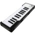 Arturia MicroLab 25-Mini-Key USB Midi Keyboard & Software (Black)