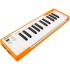 Arturia MicroLab 25-Mini-Key USB Midi Keyboard & Software (Orange)