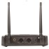 KAM KWM11 Dual Microphone Fixed-Channel Wireless System