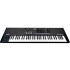 Korg Wavestate SE, Wave Sequencing 61-Key Synthesizer Inc. Carry Case