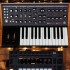 Moog Subsequent 25 / Sub Phatty Paraphonic Analogue Synthesizer