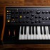 Moog Subsequent 25 / Sub Phatty Paraphonic Analogue Synthesizer