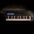 Novation FLkey 49, USB MIDI Keyboard for FL Studio