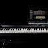 Roland RD-88, 88-Key Stage Piano