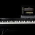 Roland RD-88, 88-Key Stage Piano