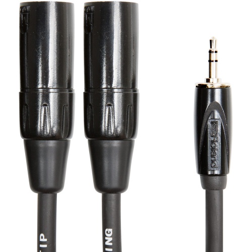 Roland BLACK SERIES Mini Jack - Dual XLRm Cable (1mtr)